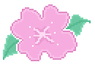 blossom